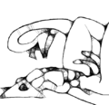 Axeface 7.png